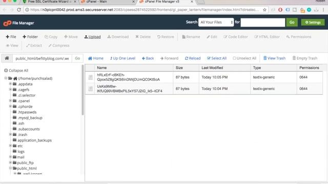 Renew letsencrypt with zerossl online tool смотреть онлайн