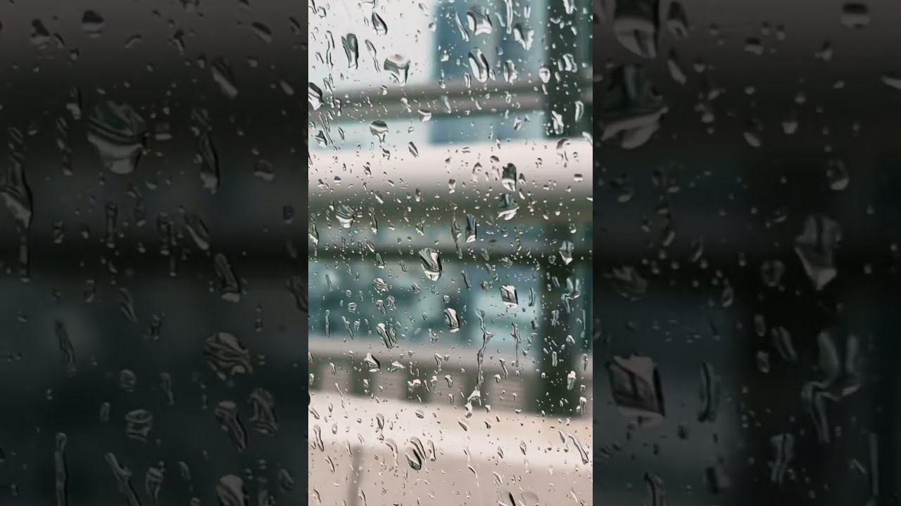 Вот и в Сочи пришла осень. смотреть онлайн