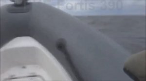 РИБ Fortis 390 - Фортис со съемными баллонами под мотором