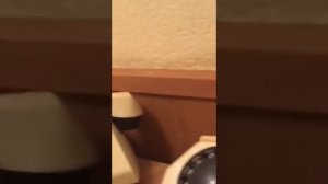 Солдат не умеет пользоваться дисковым телефоном.