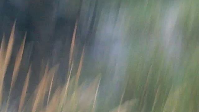 КИТАЙСКИЙ КВАДРОЦИКЛ смотреть онлайн