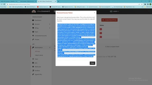 How to install WoPo File Converter for Wordpress Website смотреть онлайн