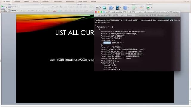 Elasticsearch index backup and restore with S3 storage смотреть онлайн