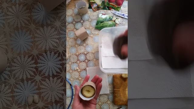 Сюжет 7.Под рассаду не совсем обычные, не из торфа таблетки, из того, что под рукой...