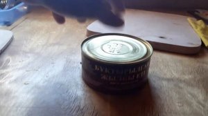 Поездка в Казахстан. Бухтарминское водохранилище. Б\о "Веселый Роджер"