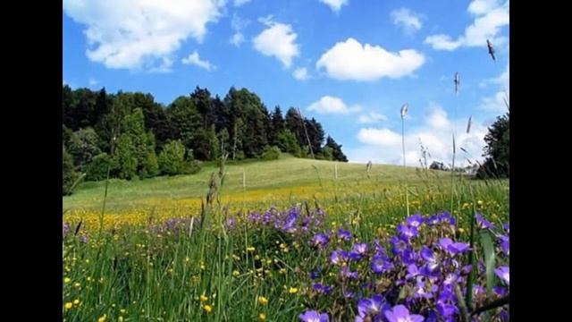 Дипак Чопра