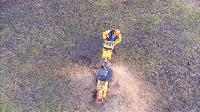 Kändude freesimine! смотреть онлайн