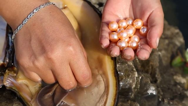there are clams in the clam and first-class pearls have been excavated, which is rare in my opinion смотреть онлайн