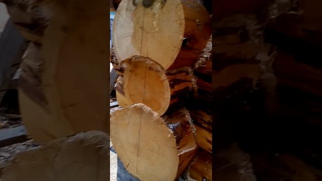 Сруб из круглого леса. смотреть онлайн