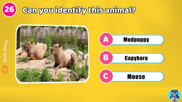 How Good is Your General Knowledge🧠? Take This 50-Question Quiz To Find Out! ✅ смотреть онлайн