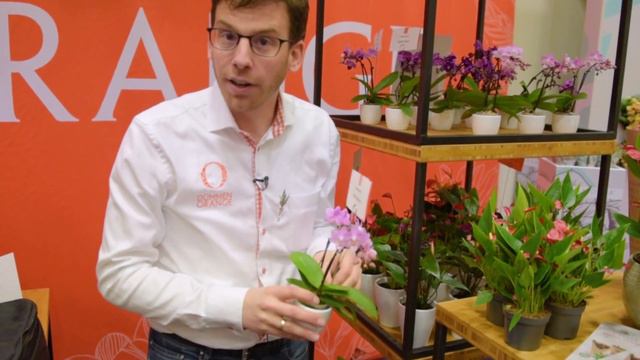 IPM 2019 - Tropicals & Succulents смотреть онлайн
