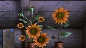 Can you escape the 100 room 17 (прохождение) 
Уровень 28