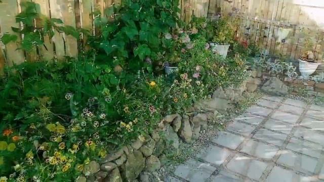 Купили дачу 30 08 2022 смотреть онлайн