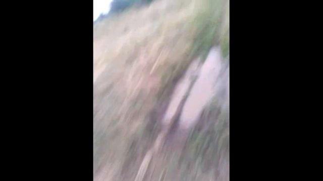 Это реакция когда поймал большую рыбу !!! смотреть онлайн