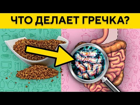 Что Будет с Организмом Если Есть Только Гречку, Одна Порция Гречки Приводит к Необратимым Процессам