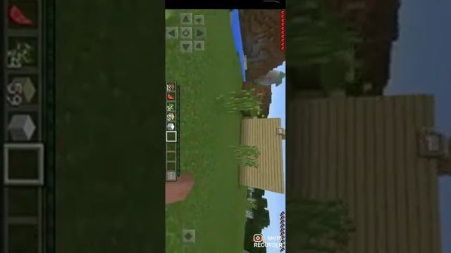 Майнкрафт Аделька и Арман