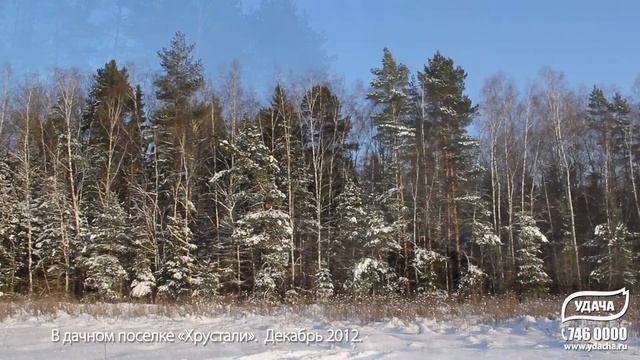 Дачный поселок Хрустали декабрь 2012. От компании УДАЧА