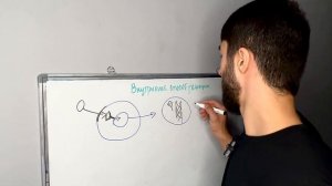 БИОХИМИЯ ГОРМОНОВ | КЛАССИФИКАЦИЯ | МЕХАНИЗМЫ ДЕЙСТВИЯ