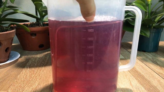 Just 1 Cup! Also Makes So Many Flowers Bloom! смотреть онлайн