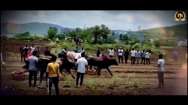 Nonstop Bailgada song | bailgada sharyat song | Mahesh Kene | Sonali Bhoir | #bailgadasharyat смотреть онлайн