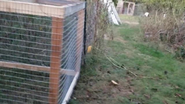 Game fowl pen ideas and upgrades. смотреть онлайн