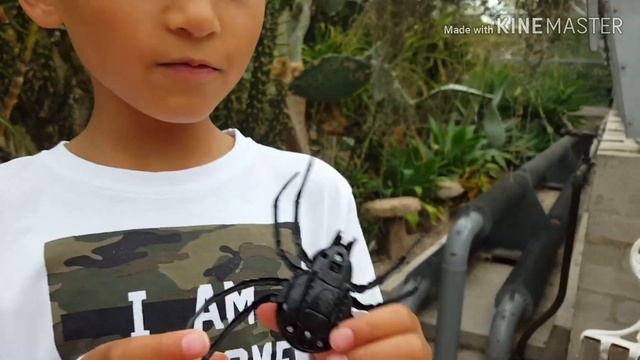 Battle of Giant Robo Spider - Robo Alive Crawling Spiders Review and Play смотреть онлайн
