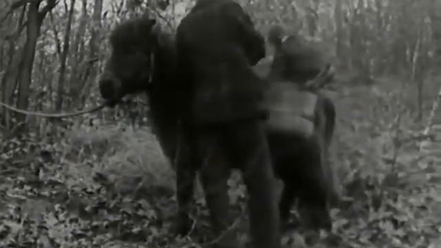 School: A Fim About Progressive Education смотреть онлайн