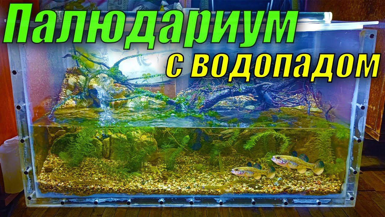 Переоформил палюдариум с водопадом. смотреть онлайн