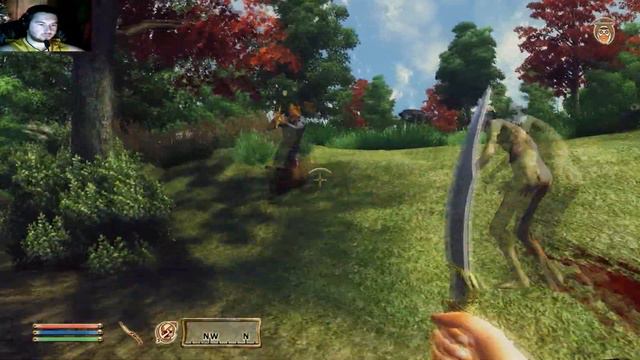 Let's play Good old games: The Elder Scrolls IV Oblivion Part 41 PermaDeath смотреть онлайн
