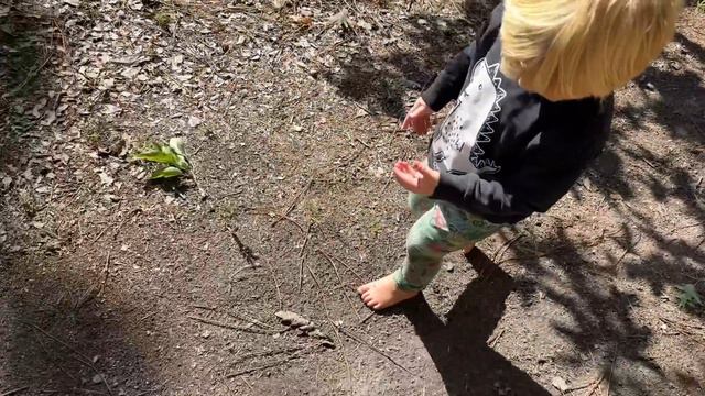 We’ve stopped working together on our Portugal Homestead смотреть онлайн