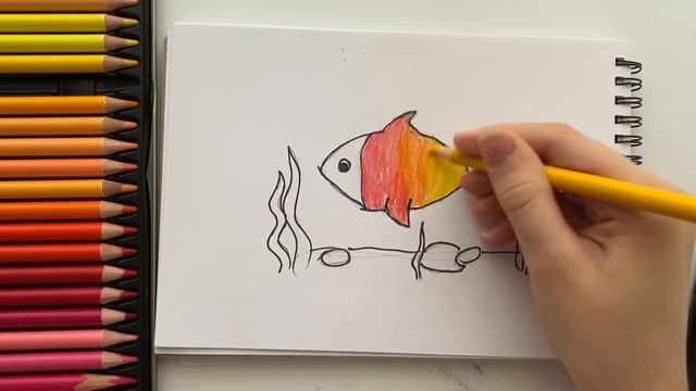 Как нарисовать рыбу. Как нарисовать рыбу карандашом, поэтапно, легко. смотреть онлайн