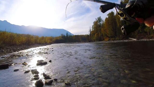 What happens when you take 10lb bumper on Salmon fishing... смотреть онлайн