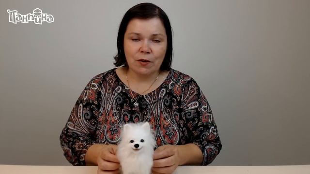 Приглашение на МК Альма смотреть онлайн