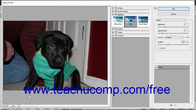Photoshop Elements 2019 Tutorial Filters & the Filter Gallery Adobe Training смотреть онлайн