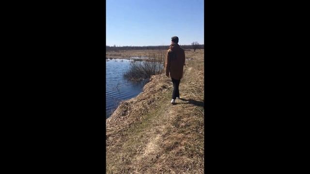 Элегантный мужчина мечтательно прогуливается смотреть онлайн