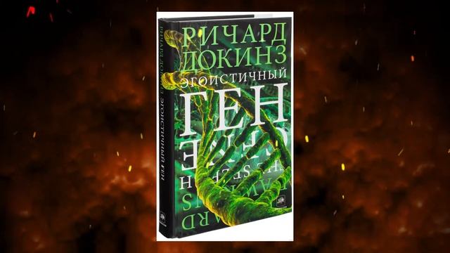 КАК ПОЯВИЛИСЬ МЕМЫ? | Город Студентов смотреть онлайн