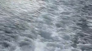 Анатолий Полотно. Таежная Дорога (мой клип)