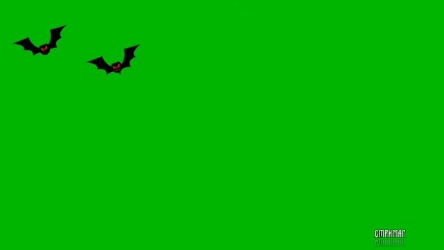 ХЭЛЛОУИН. ЛУЧШИЕ ФУТАЖИ GREEN SCREEN + ССЫЛКА НА СКАЧИВАНИЕ смотреть онлайн
