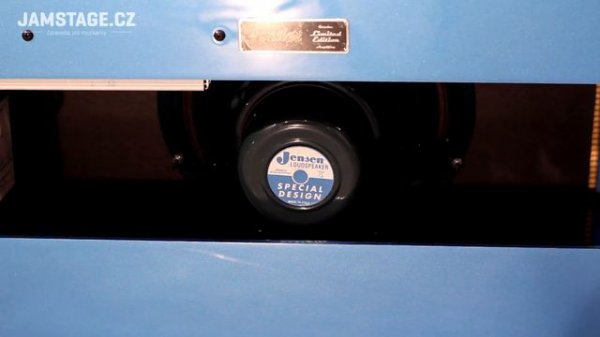 Fender Limited '65 Deluxe Reverb Blue Flower FSR