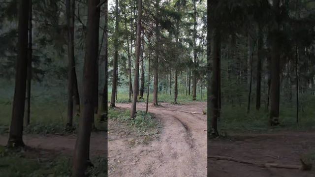 Парк Орлово. смотреть онлайн