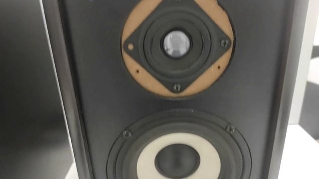 Видео №293981