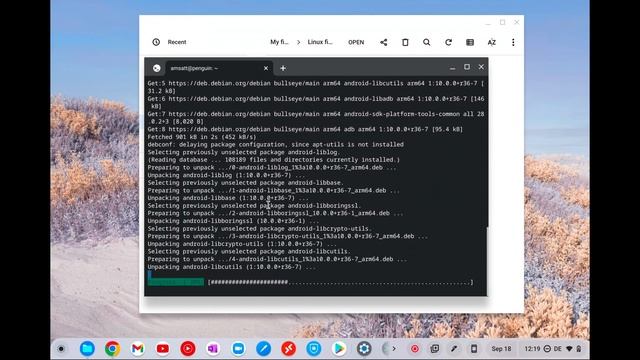 Install Android APK on ChromeOS without Google Playstore using Linux Environment! смотреть онлайн