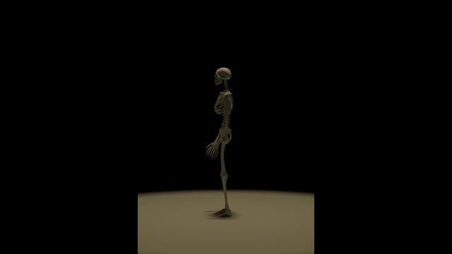 Skeleton 3d model .........blender 2.79 смотреть онлайн