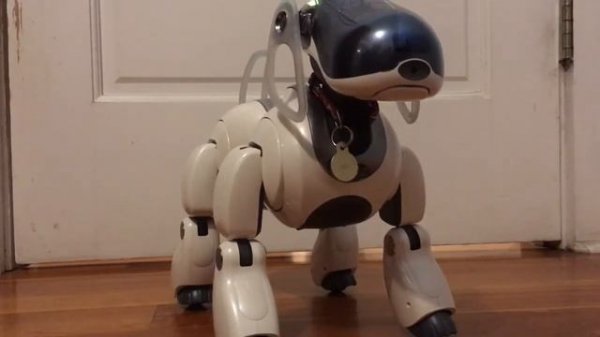 Aibo ERS-7 Prototype Mind 1 Software