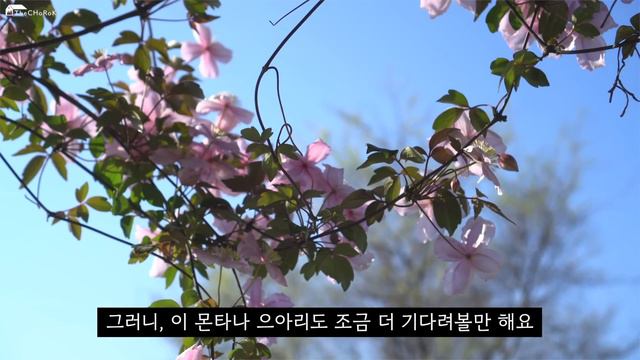 (SUB)우리, 지금 안된다고 실망하지 말아요! | 울타리 만들고, 다알리아 심는 가드너 일상 | 마당가드너 Vlog