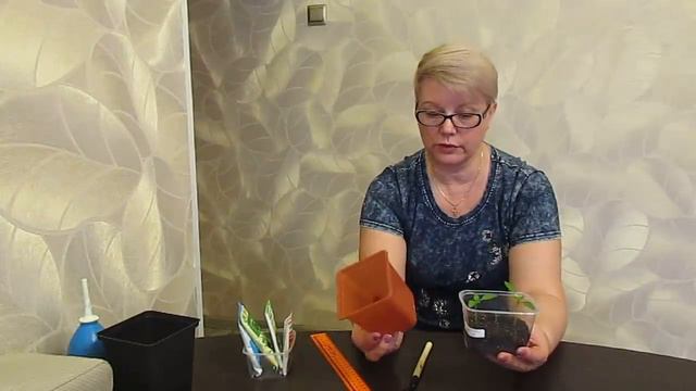 Отвечаю на вопросы.20.02.2020 смотреть онлайн