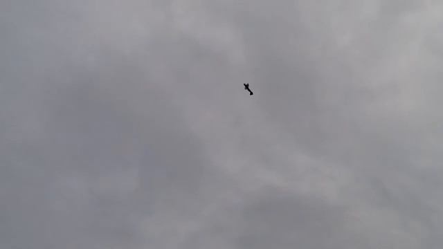 Полеты 09.09.13 Вольск смотреть онлайн