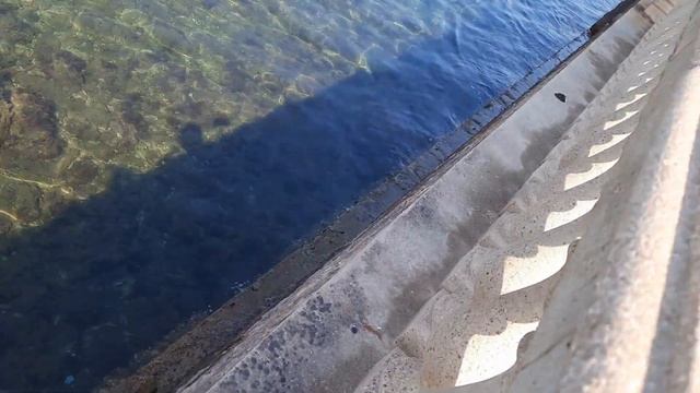 Прогулка по набережной в Livorno смотреть онлайн