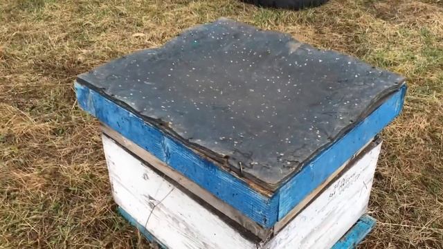 калифорнийская крыша для ульев смотреть онлайн