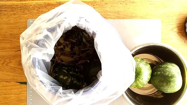 Pepene Verde Murat. Pepene Verde La Butoi Pentru Iarna. Harbuji Murați.